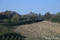 VBS_5668 - C'è un mare di velluto verde! E tu che sognavi di andare lontano... Quanta meraviglia, quì!